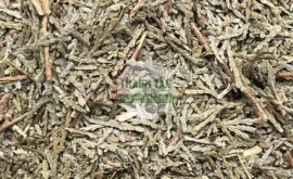 Vị thuốc Tang chi | Cửa Hàng Dược Liệu Thanh Tâm