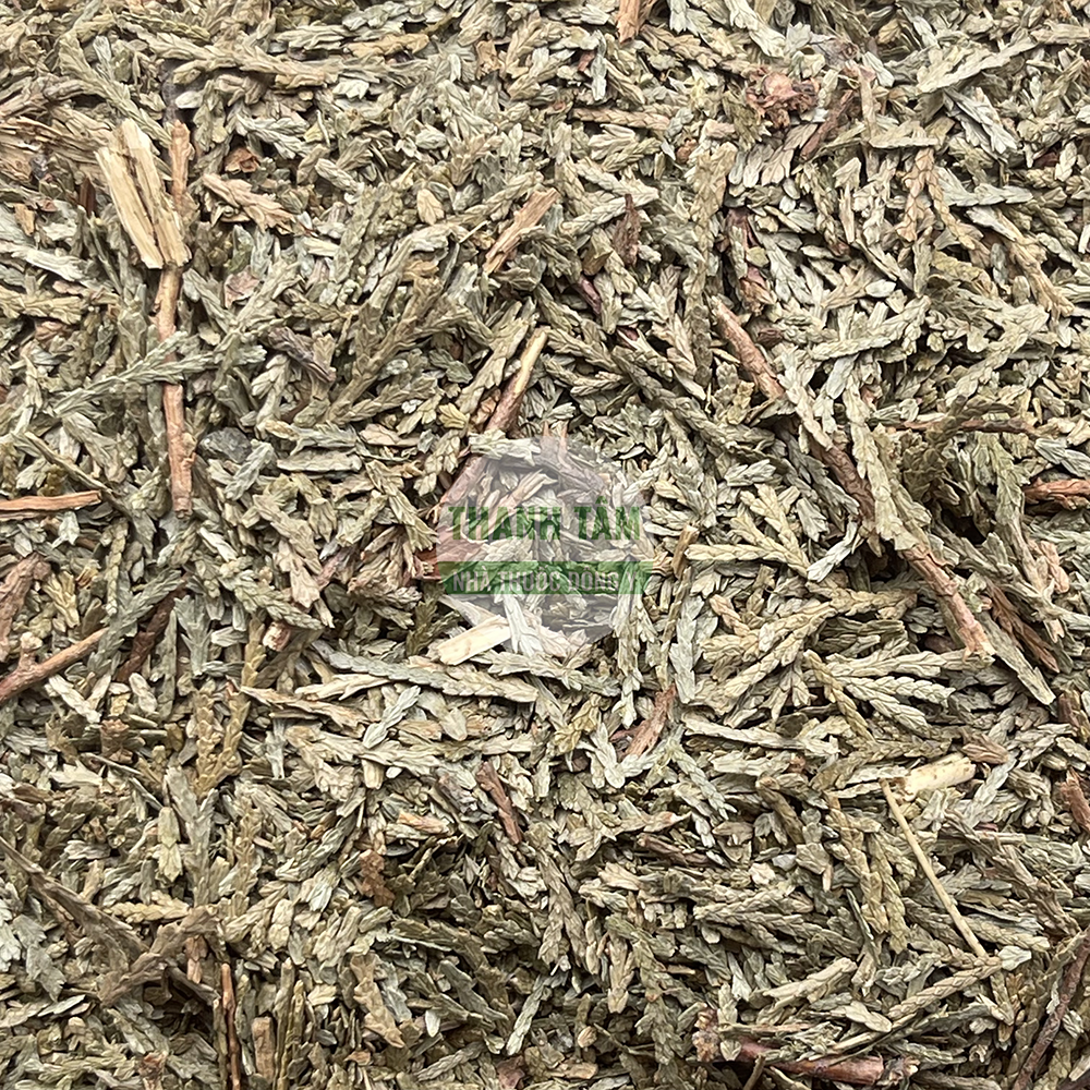 Mulberry Twig Sang Zhi Mori Ramulus used in TCM