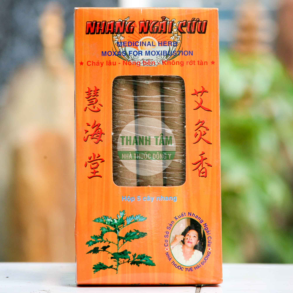 Tuệ Hải Đường Nhang Ngải cứu loại hộp 5 cây mặt trước | Cửa Hàng Dược Liệu Thanh Tâm