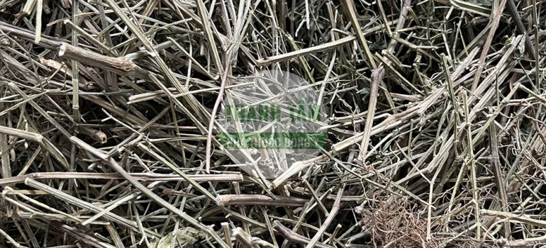 Vị thuốc Xuyên tâm liên | Cửa Hàng Dược Liệu Thanh Tâm